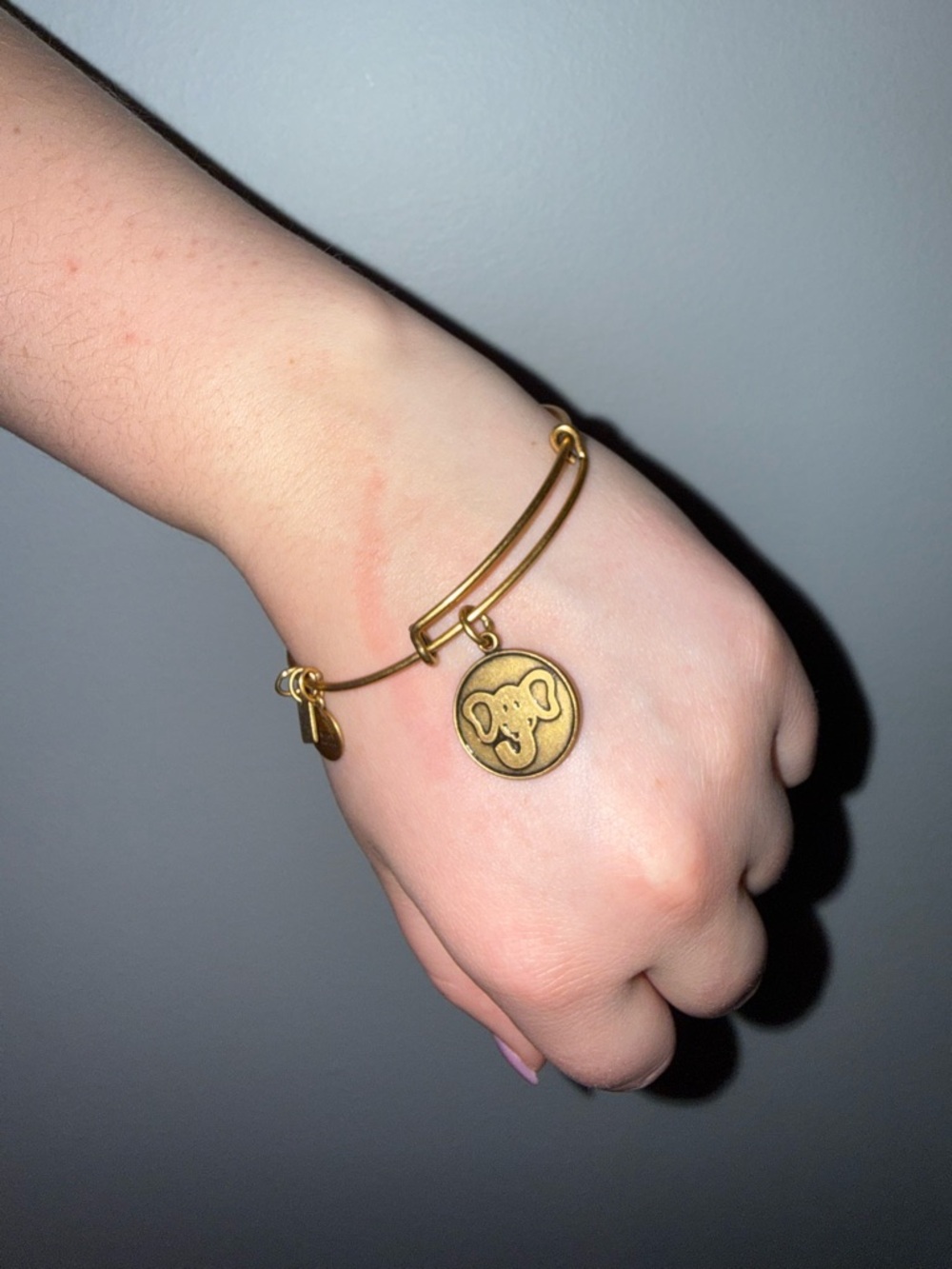 Alex and Ani Gold Elephant Charm Adjustable Bangle Bracelet